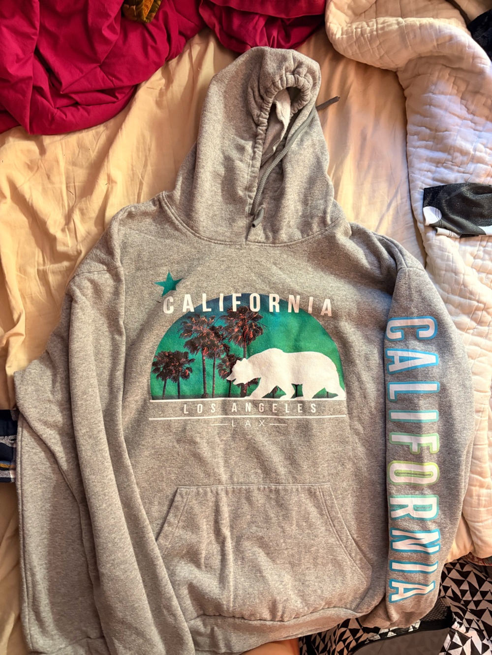 California Bear Graphic Hoodie - Grey with Teal & White